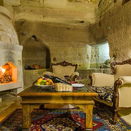Hotel Historical House
