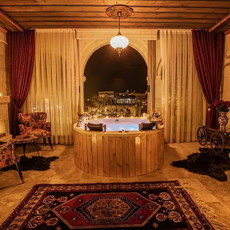 Historical House 5*
