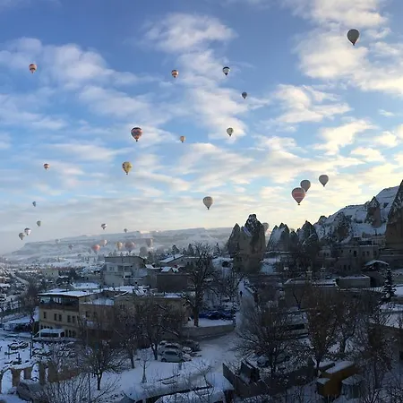 Hotel Historical House