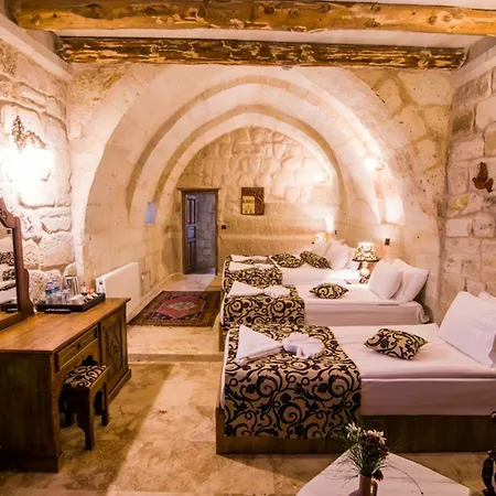 Historical House 5*